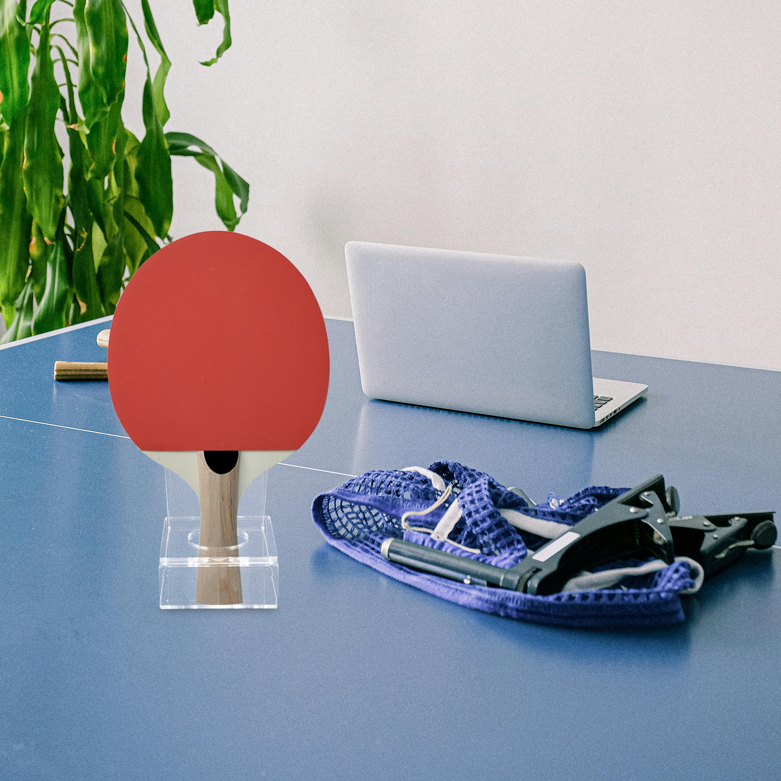 Transparent Table Tennis Paddl - Table Tennis Ranking incelemesi ve fiyatı
