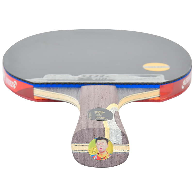 DHS Ma Long 5 Professional Tab - Table Tennis Ranking incelemesi ve fiyatı